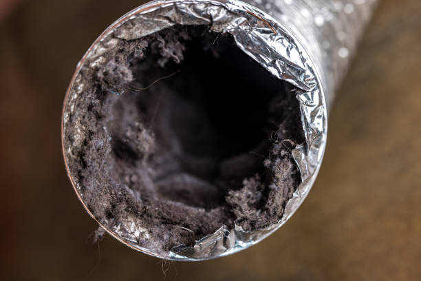 Best Affordable Air Duct Cleaning  in Newcastle, WA