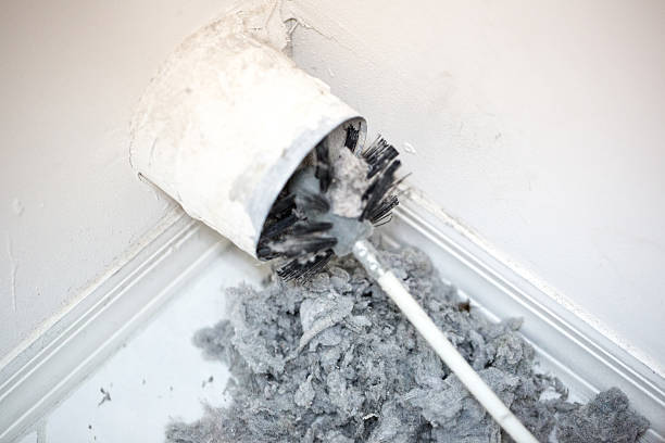 Best Dryer Vent Cleaning Services  in Newcastle, WA